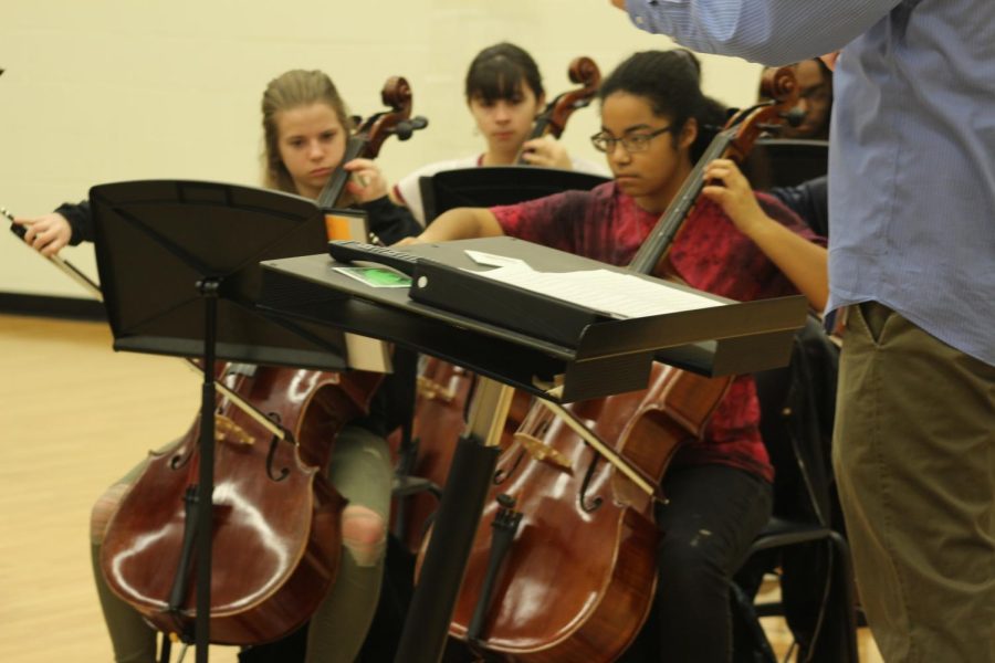 String Instruments, Rosin, & Bows, Oh my!: Orchestra at a Glance
