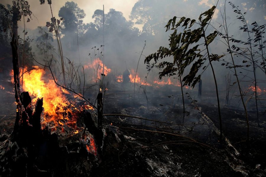 A+fire+burns+trees+and+brush+along+the+road+to+Jacunda+National+Forest%2C+near+the+city+of+Porto+Velho+in+the+Vila+Nova+Samuel+region%2C+which+is+part+of+Brazils+Amazon.+%28Washington+Post%29