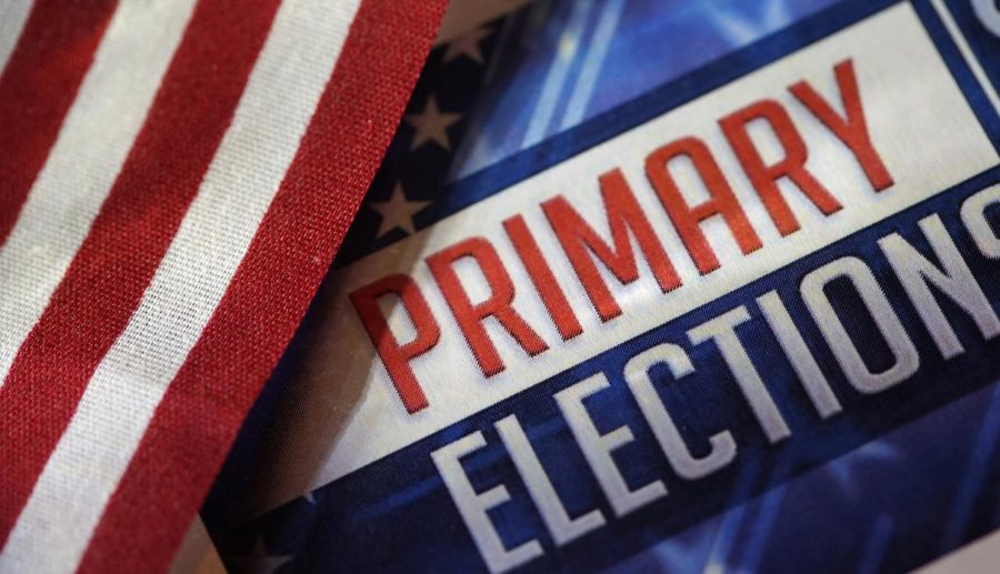 A High Schoolers Guide to the Primaries