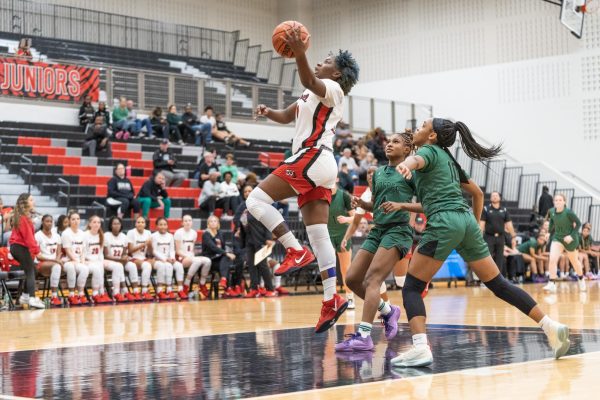 Lady Bengals earn appearance in basketball playoffs